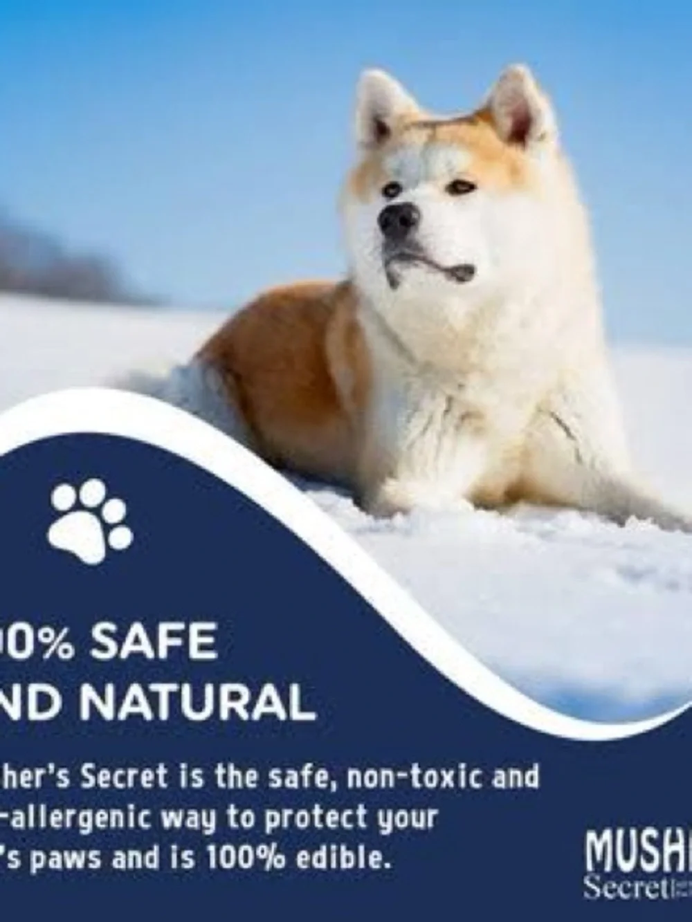 Musher’s Secret Dog Paw Wax